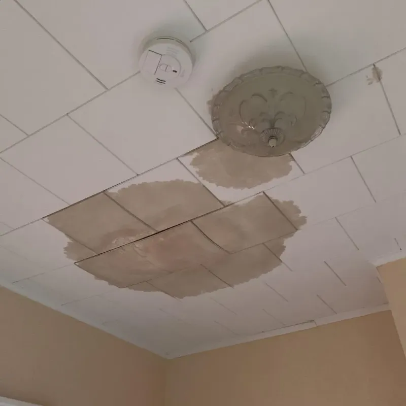 Ceiling Water Damage Repair in Britton, SD